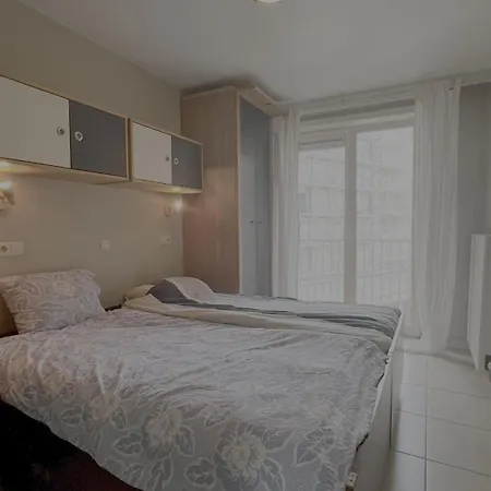 2025-002 - Zeerobben - Knokke Dreams *