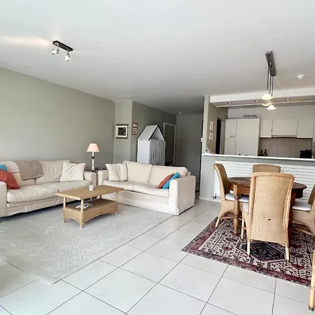 2025-002 - Zeerobben - Knokke Dreams *